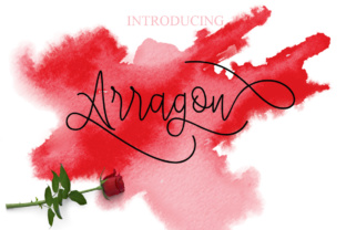 Arragon: A Modern Script Font for Bold Branding