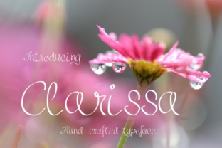 Clarissa: A Script Font for Bold Campaigns