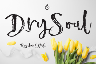Dry Soul Typeface Review for Digital Designers