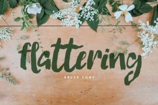 Flattering Font: A Web Designer’s Review