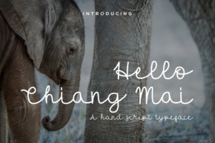 Hello Chiang Mai: A Designer's Real-World Review