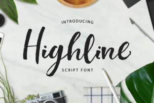 Highline: A Script Font for Modern Brand Identity