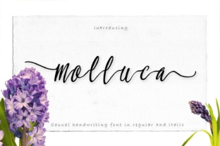 Molluca: A Handwritten Font for Editorial Grace