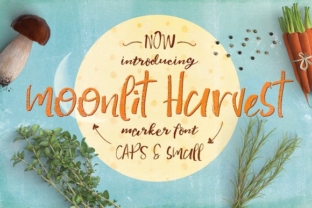 Moonlit Harvest: A Script Font for Editorial Elegance