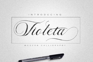Violeta Typeface: Modern Script for Web Design